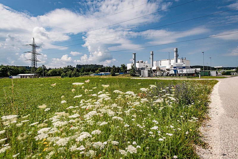Storage facility Puchkirchen with green meadow and blue sky